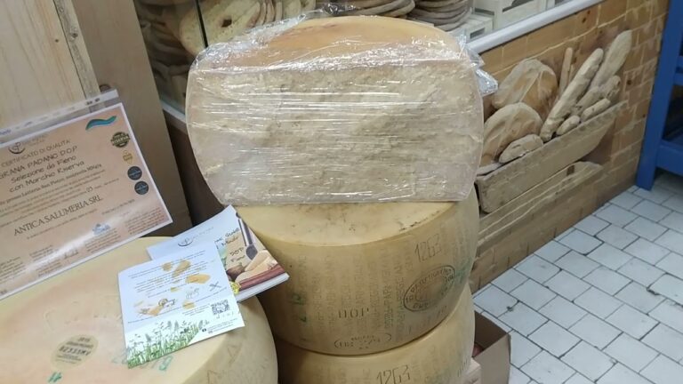 Dopo Quanti Mesi Il Parmigiano Perde Il Lattosio