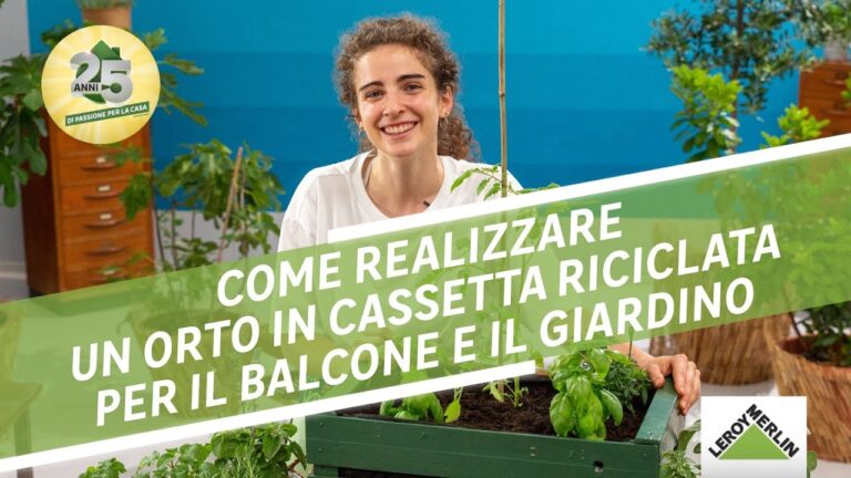 Orto in cassetta: idee creative per coltivare le tue verdure in casa ...